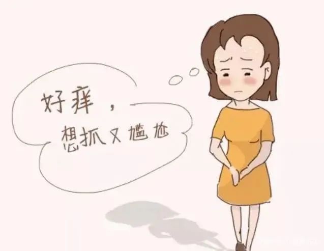 哪些女性更容易得外阴白斑？