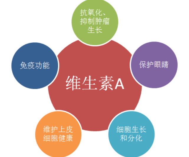 外阴白斑患者在康复过程中吃哪些食物好的快?