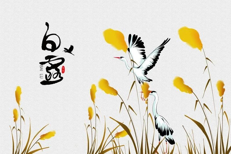 白露时节外阴白斑患者应该怎么养生？